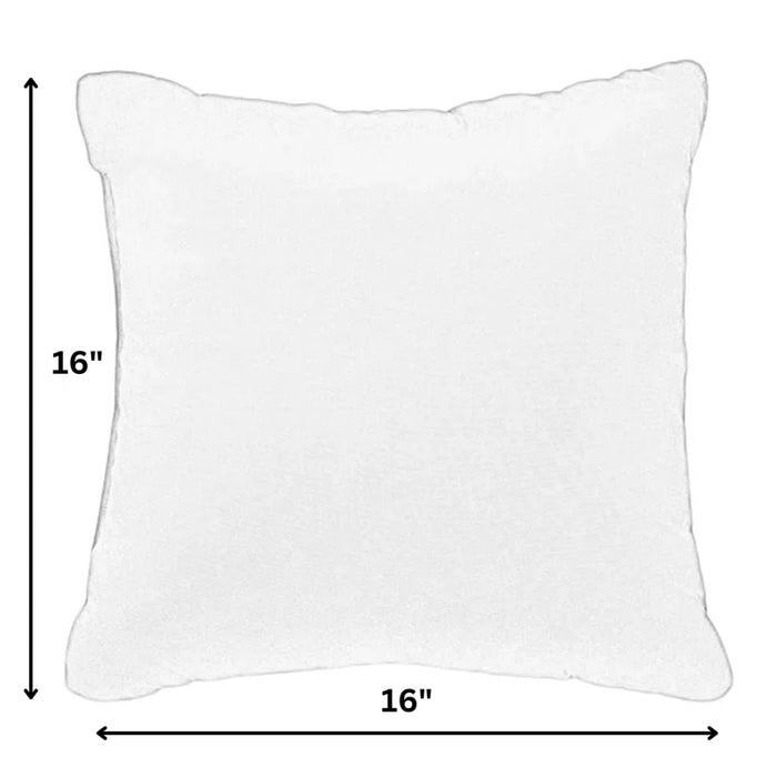 Set of 2 Throw Pillows 18 x 18 (Set of 2)